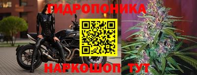 кокаин Кингисепп