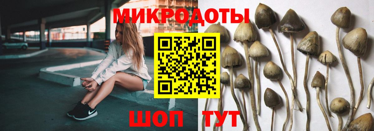Псилоцибиновые грибы MAGIC MUSHROOMS Бирск
